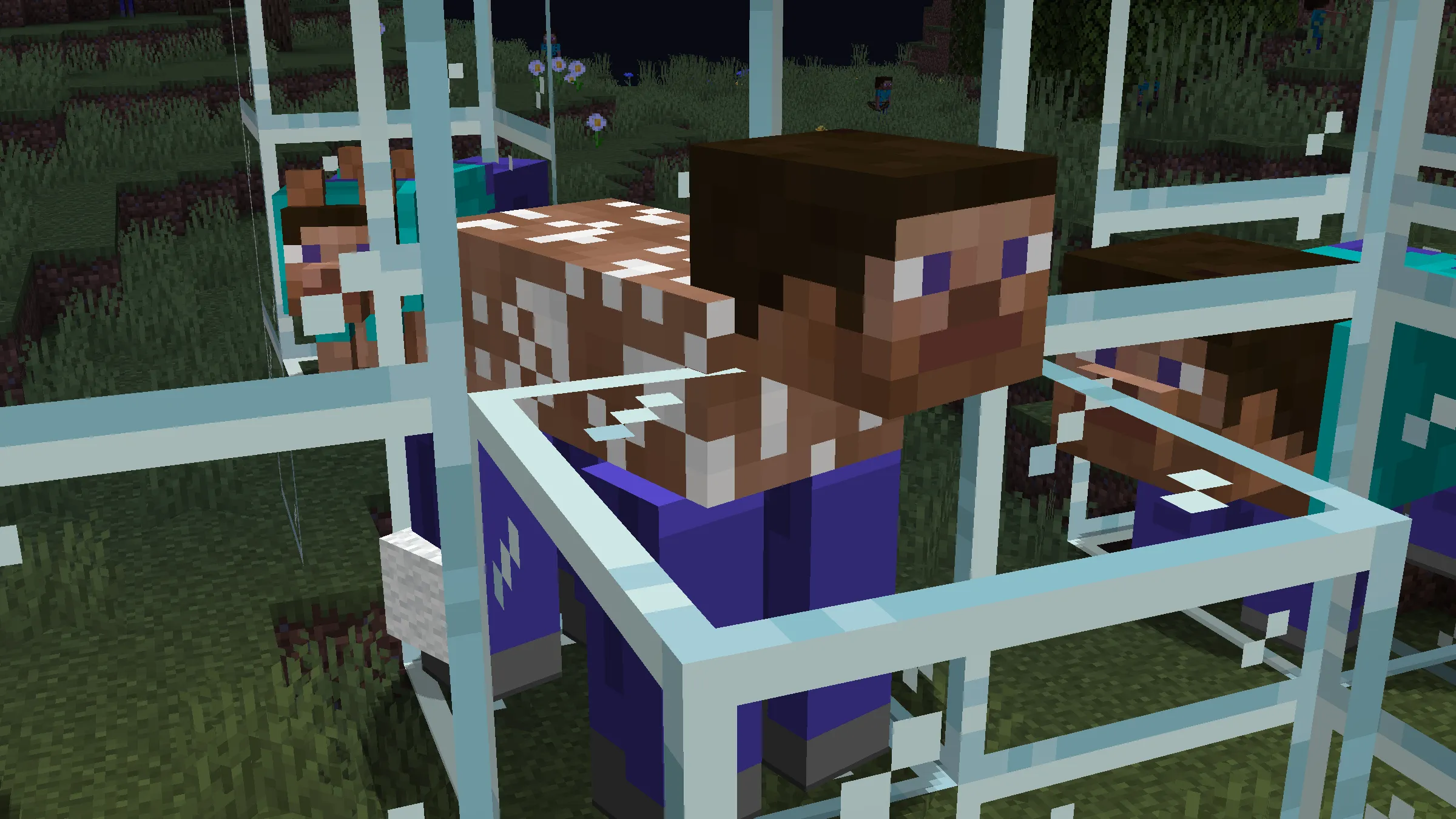 The Steve — скриншот 6 (Текстуры, Minecraft)
