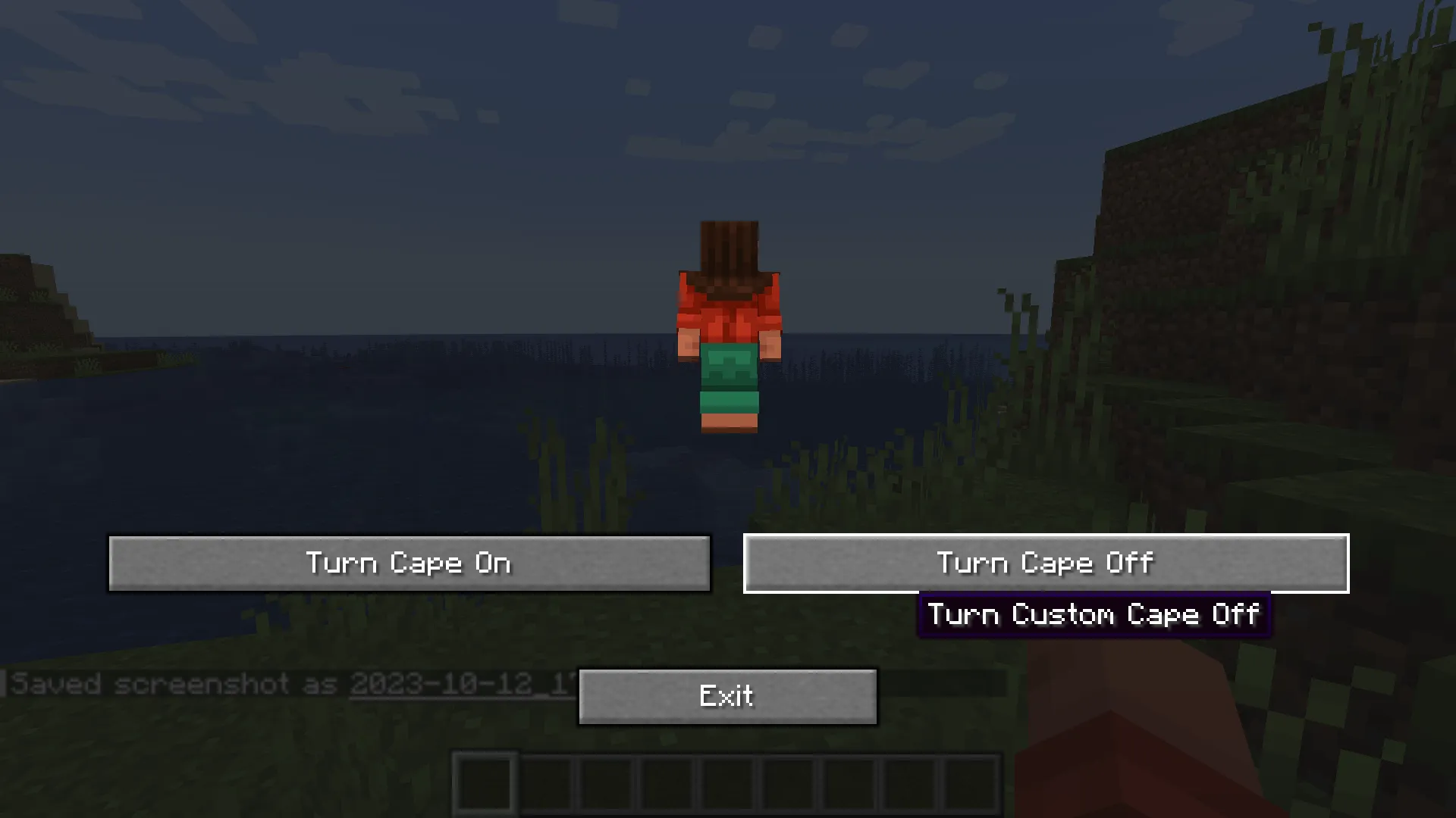 CapeChanger — скриншот 1 (Моды, Minecraft)