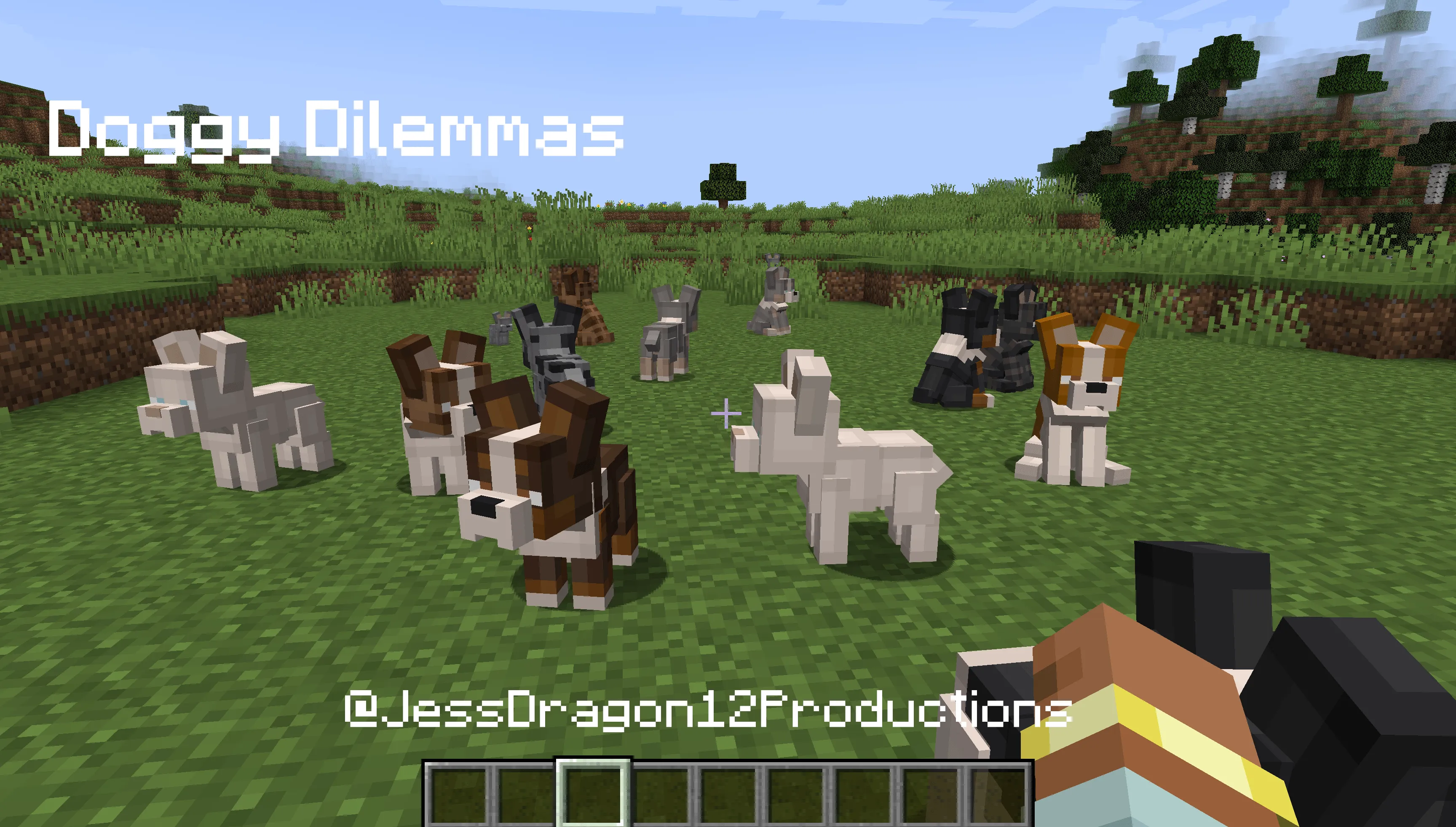 Doggy Dilemmas, Моды, Minecraft