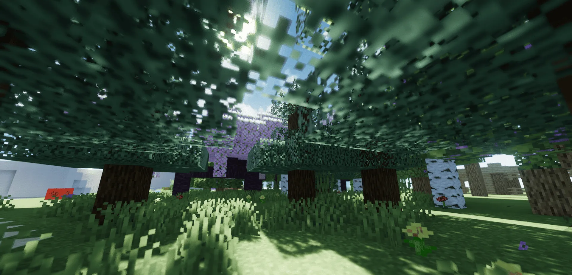 Body Camera Shader (MakeUp Edit), Шейдеры, Minecraft