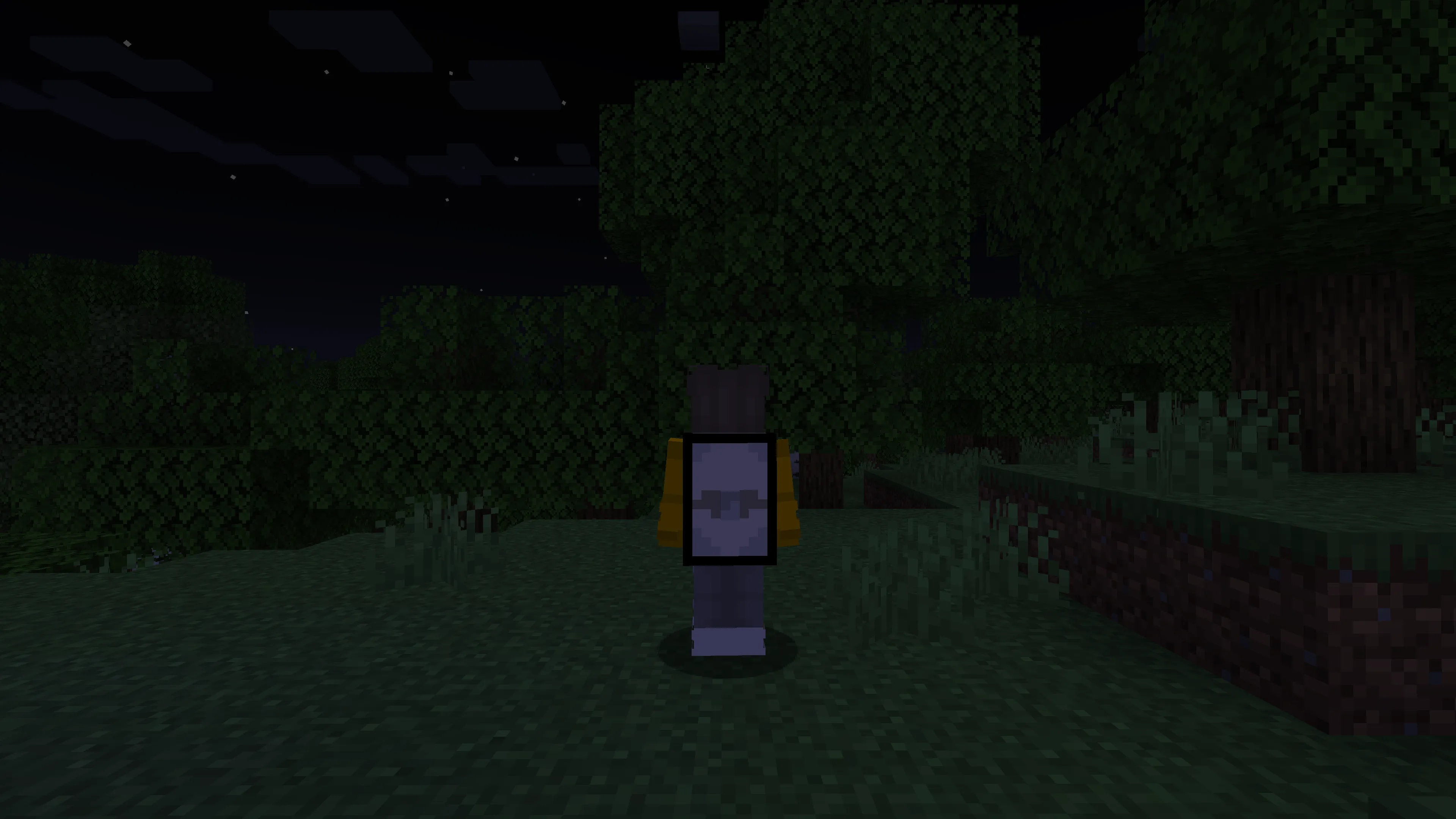 Timmothy's Backpacks!, Моды, Minecraft