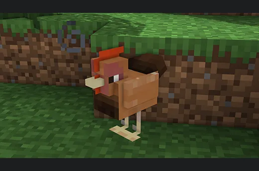Rogue's Better Chickens — скриншот 5 (Текстуры, Minecraft)