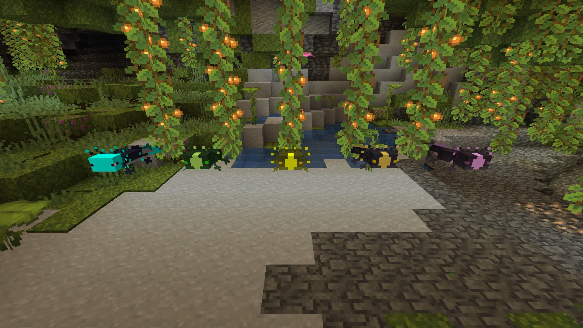 Lissiceous Axolotls, Текстуры, Minecraft