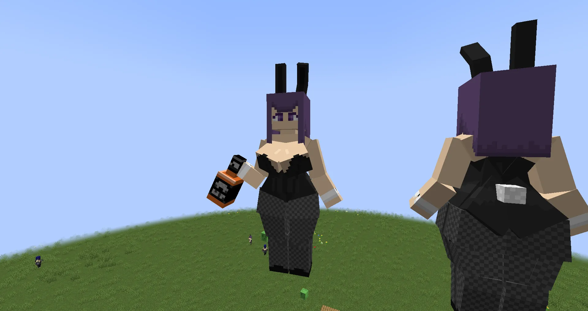 Girls, Моды, Minecraft