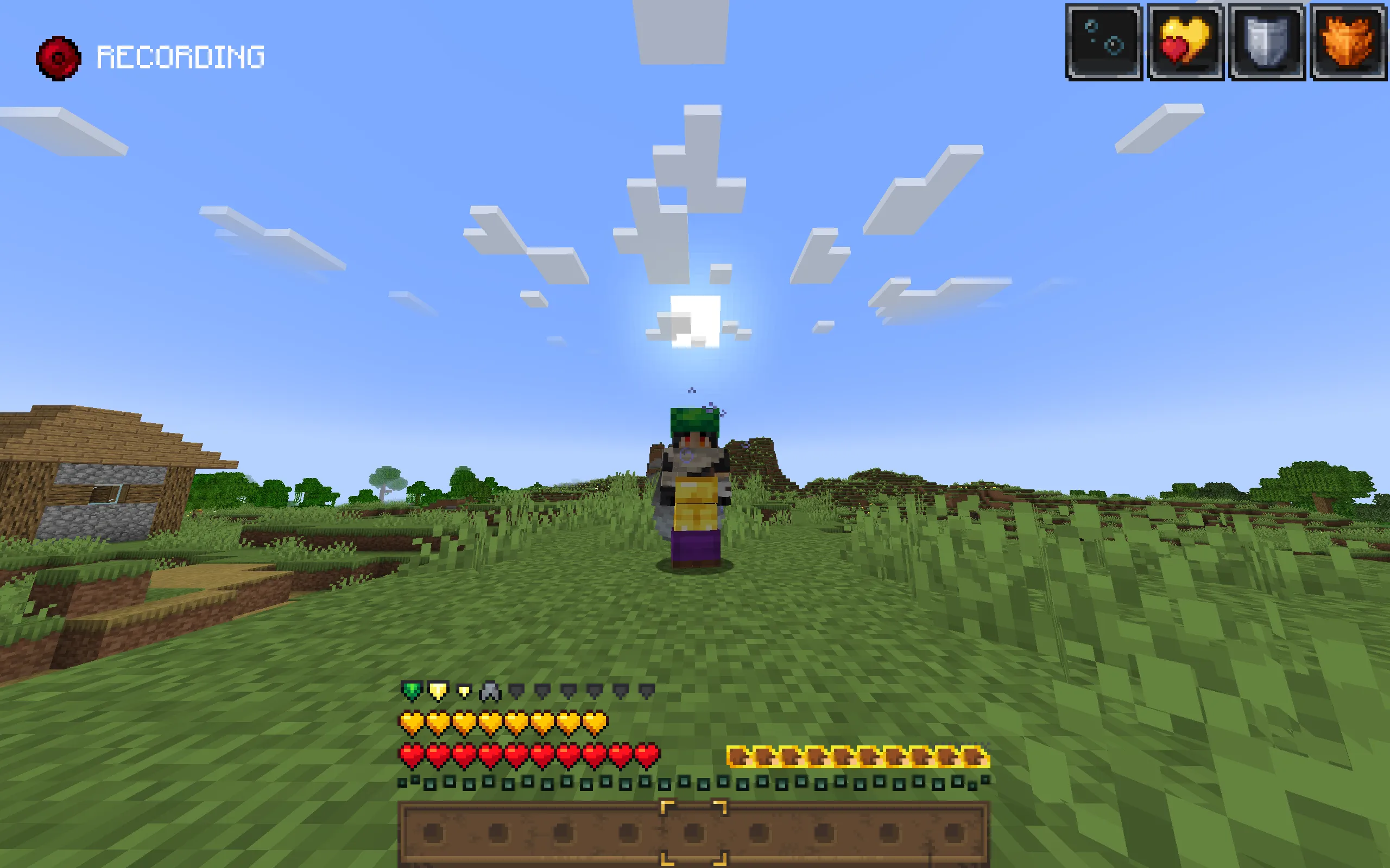 HIDYK's REALM Addon - Detail Armor Bar — скриншот 4 (Текстуры, Minecraft)