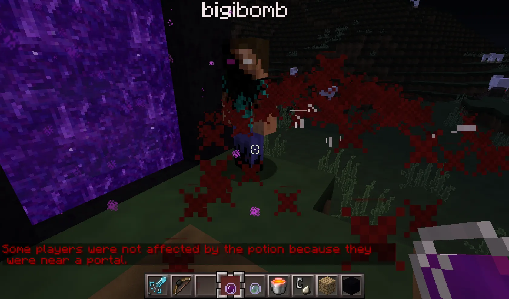 PortalProtector — скриншот 4 (Плагины, Minecraft)