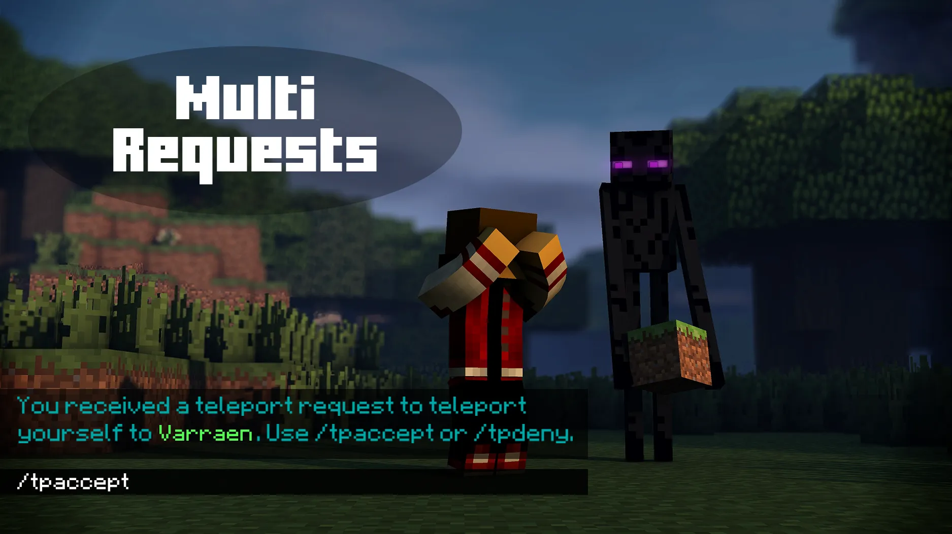 MultiRequests, Плагины, Minecraft