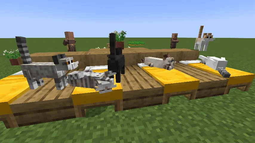 Simply Cats 16x Textures, Текстуры, Minecraft