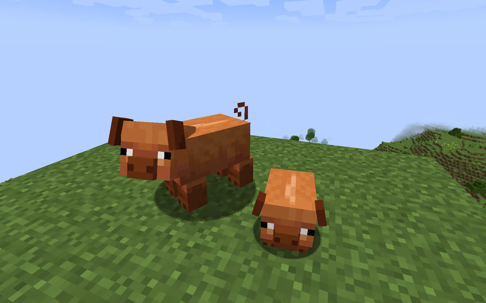Kassy's Pigs, Текстуры, Minecraft