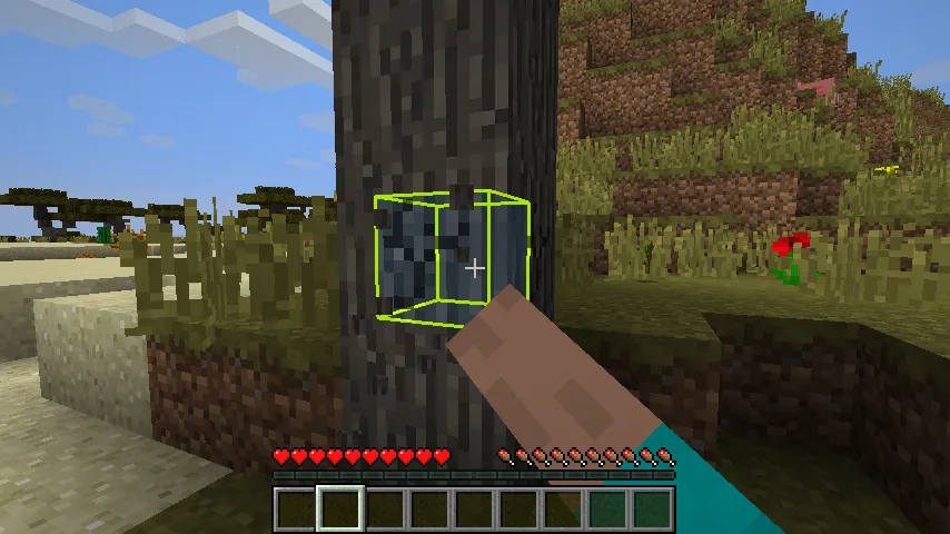 Enhanced Selection Bounding Box Mod, Моды, Minecraft