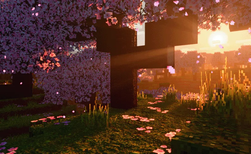 Escheridia, Шейдеры, Minecraft