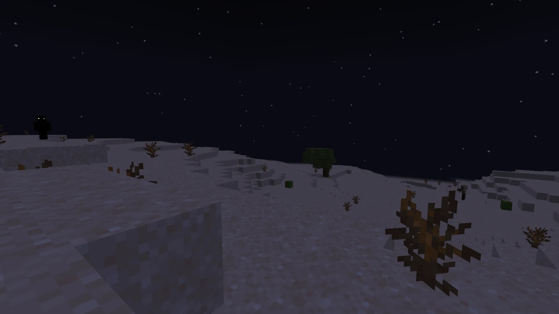 The Broken Player, Моды, Minecraft