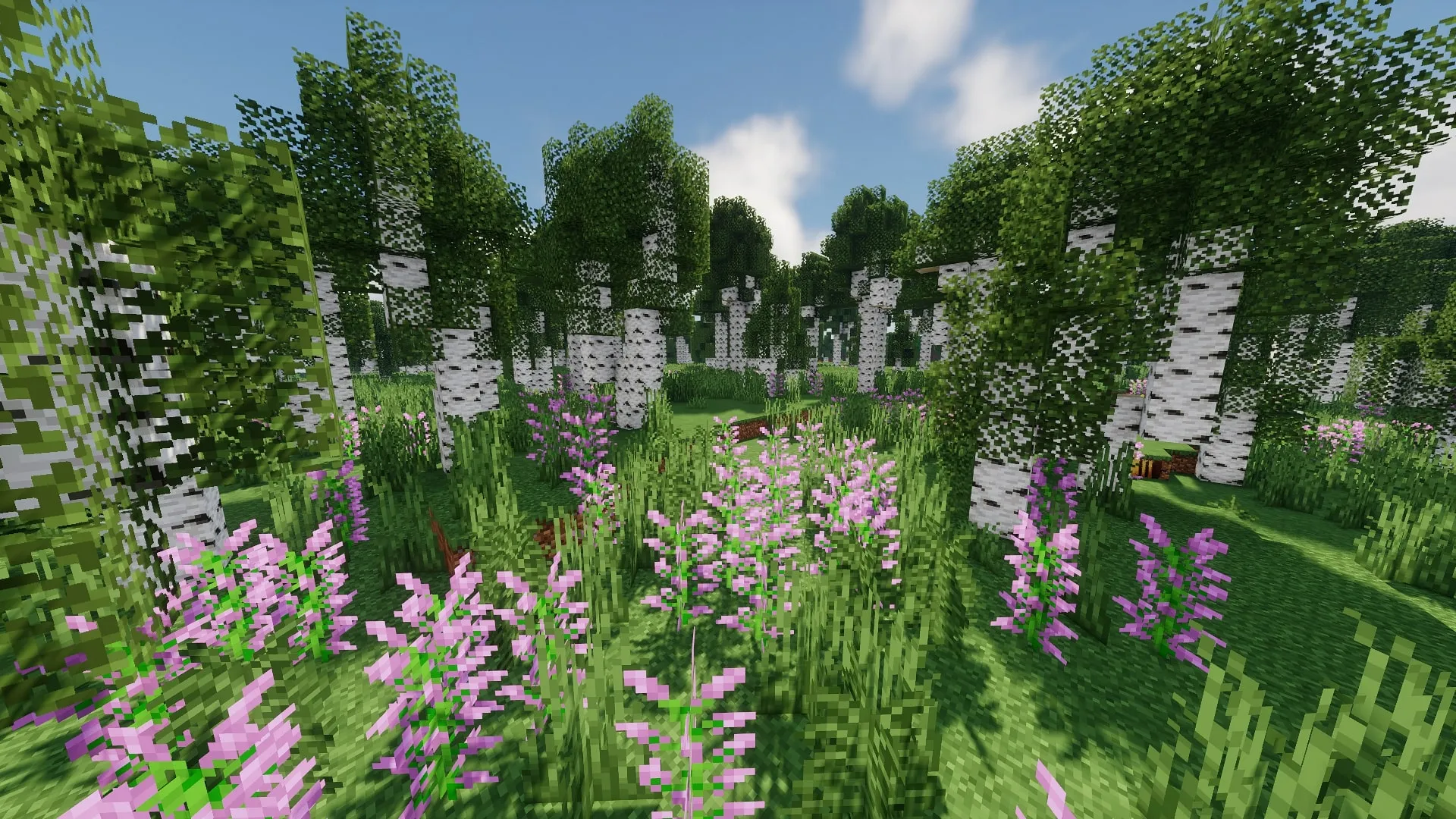 Survival Island (cold) — скриншот 1 (Карты, Minecraft)