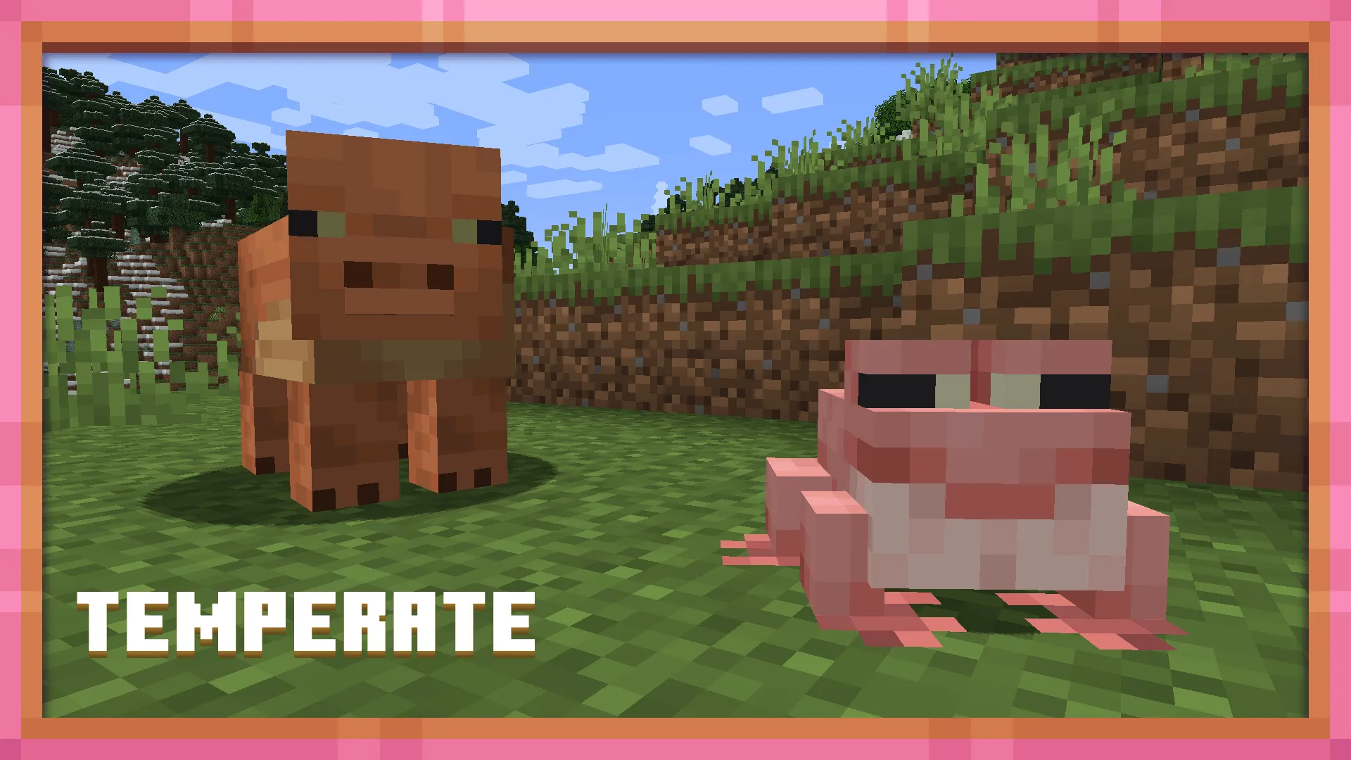 Figs and Progs, Текстуры, Minecraft