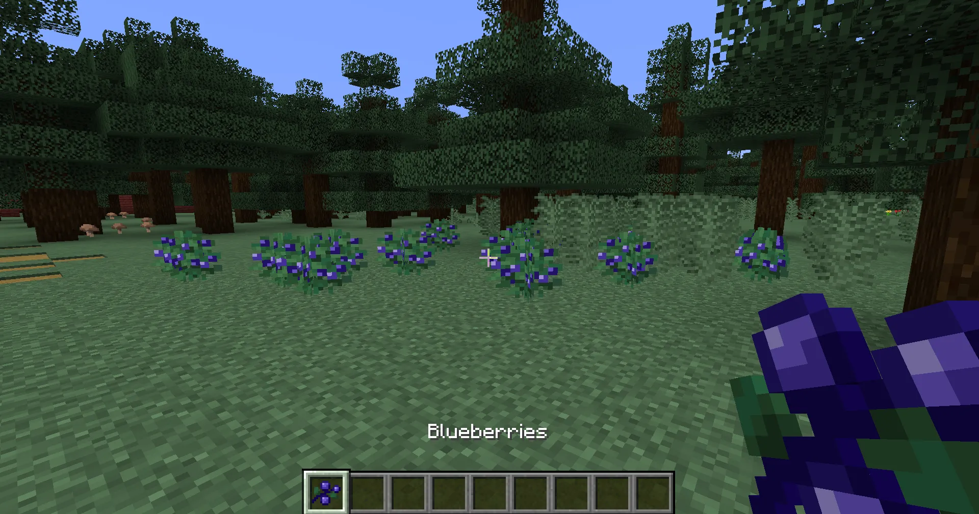 Blueberries!, Текстуры, Minecraft