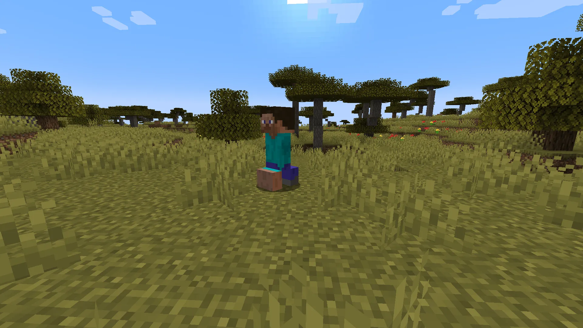 The Legend of Steve - The Ultimate Steve Overload! — скриншот 7 (Моды, Minecraft)