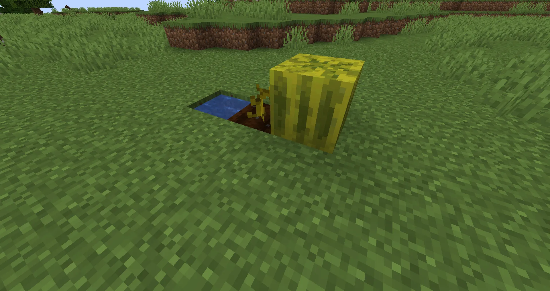 Retro Melon, Текстуры, Minecraft