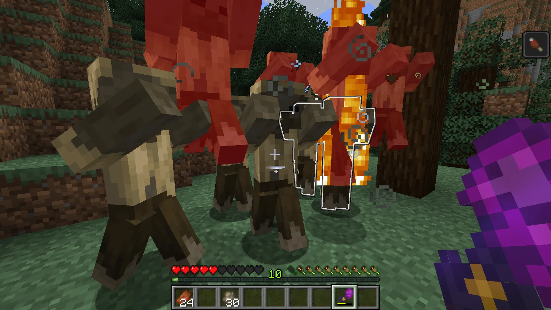 Chaotic Rings and Timers, Моды, Minecraft