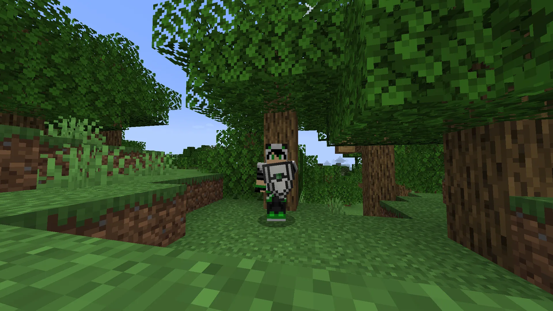 Legendary Shield, Текстуры, Minecraft