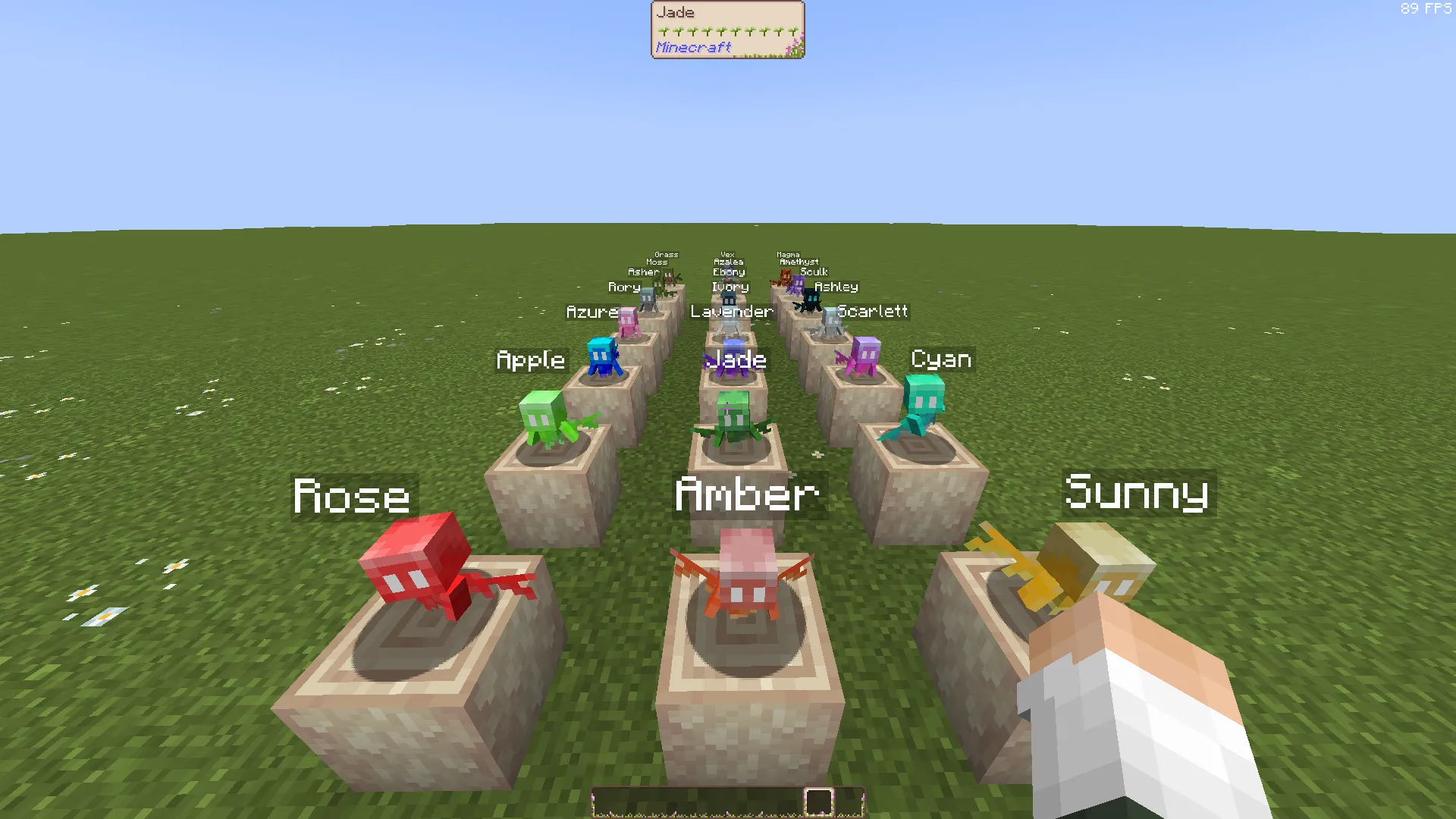 Rainbow Allay Renames!, Текстуры, Minecraft