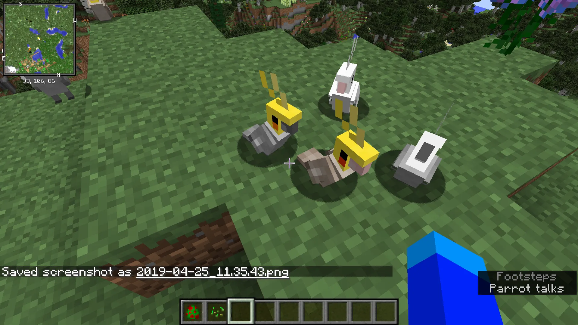OOPS! All cockatiels(Now with sound!) — скриншот 2 (Текстуры, Minecraft)