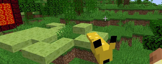 JOECRAF, Моды, Minecraft
