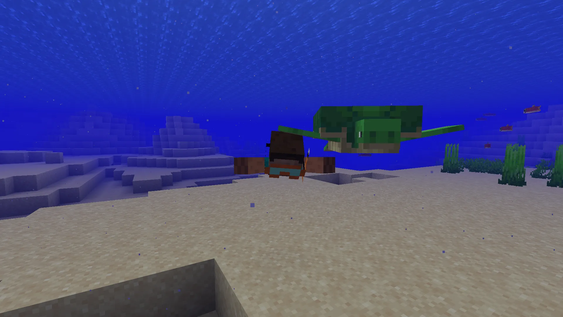 DSWG Swim Masks, Текстуры, Minecraft