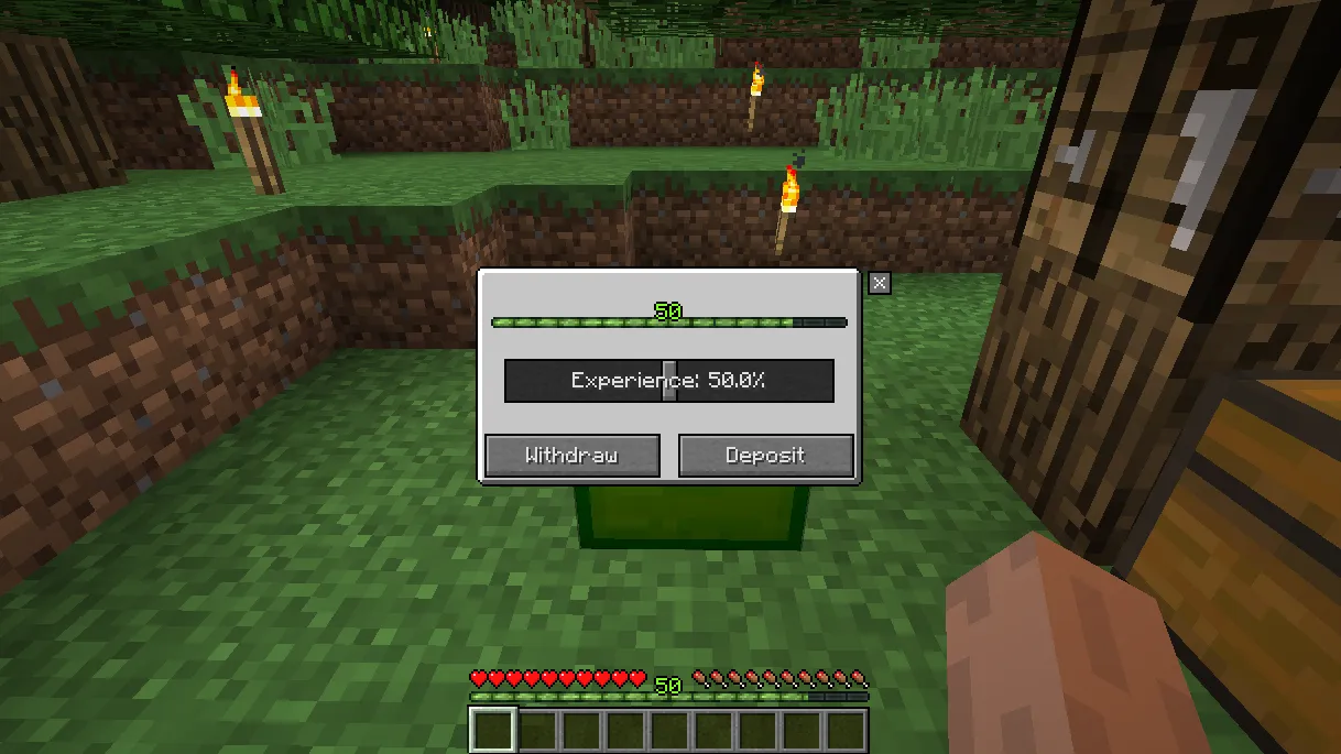 XP Holder, Моды, Minecraft