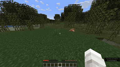 Quality of Queso, Моды, Minecraft