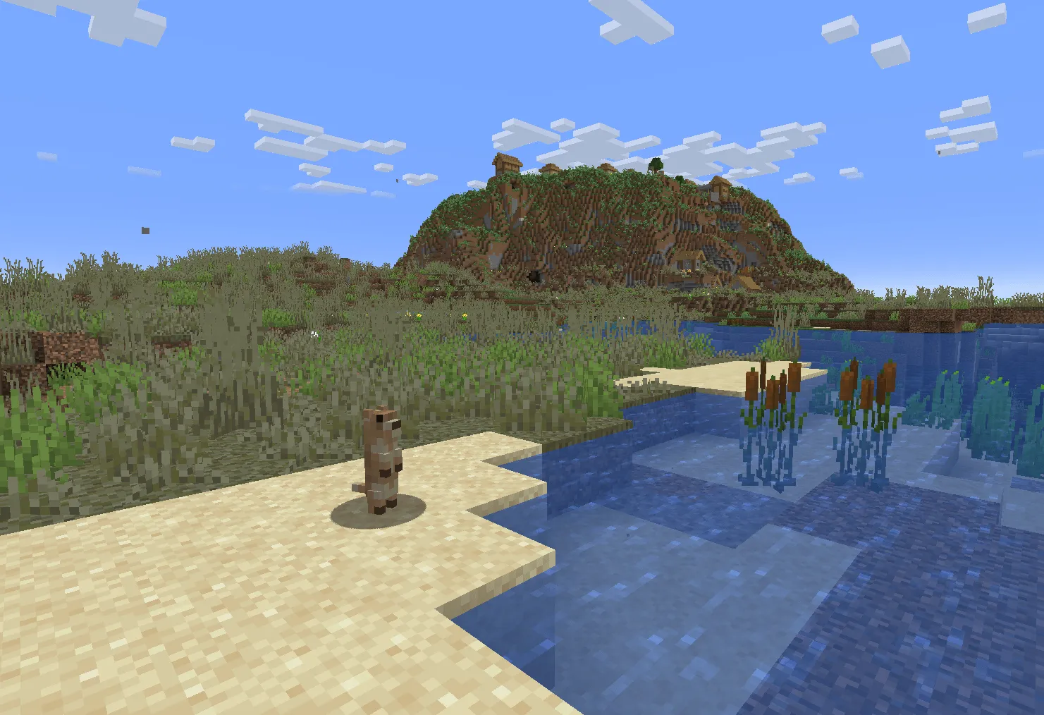 Outlasting Endurance, Моды, Minecraft