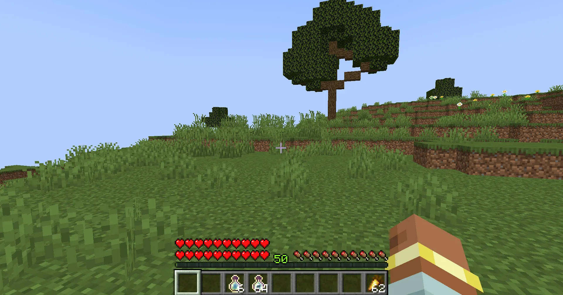 Life Experience — скриншот 2 (Моды, Minecraft)