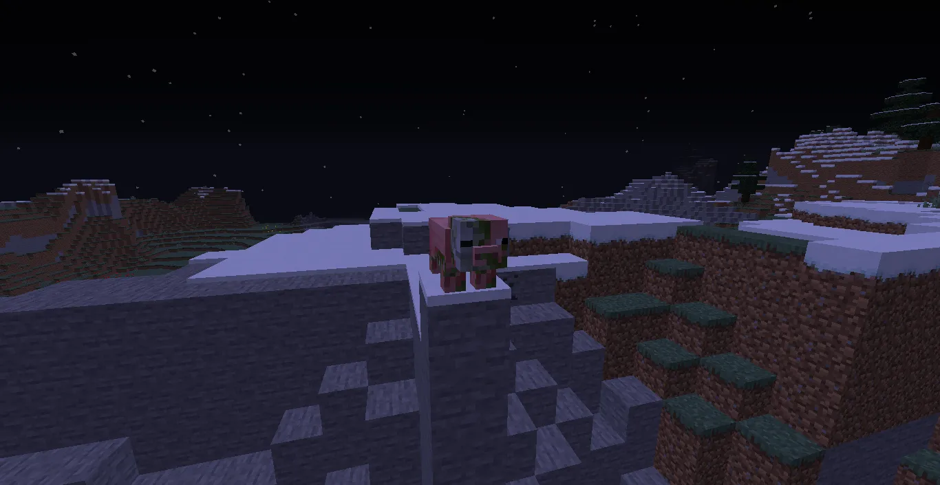 Witches and Magic, Моды, Minecraft