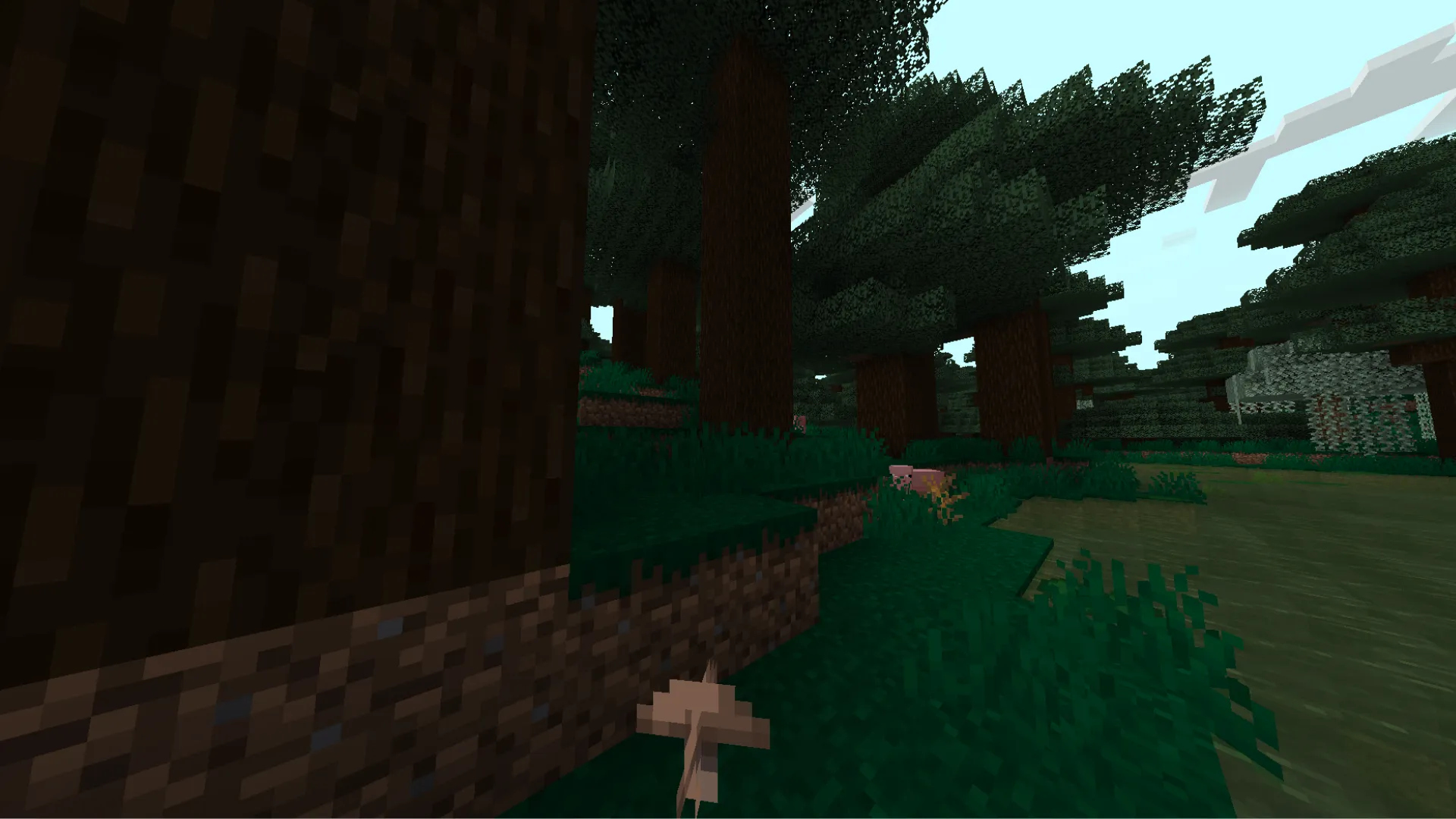 Misty Swamp — скриншот 1 (Моды, Minecraft)