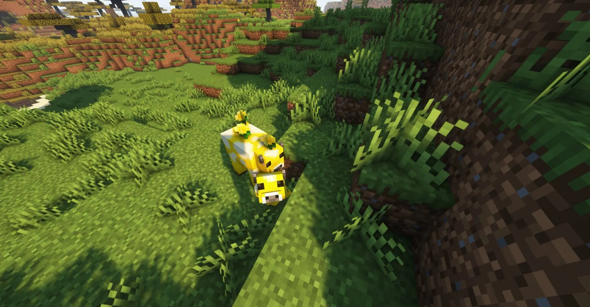 Dawn Blossoms Plucked at Dusk, Моды, Minecraft