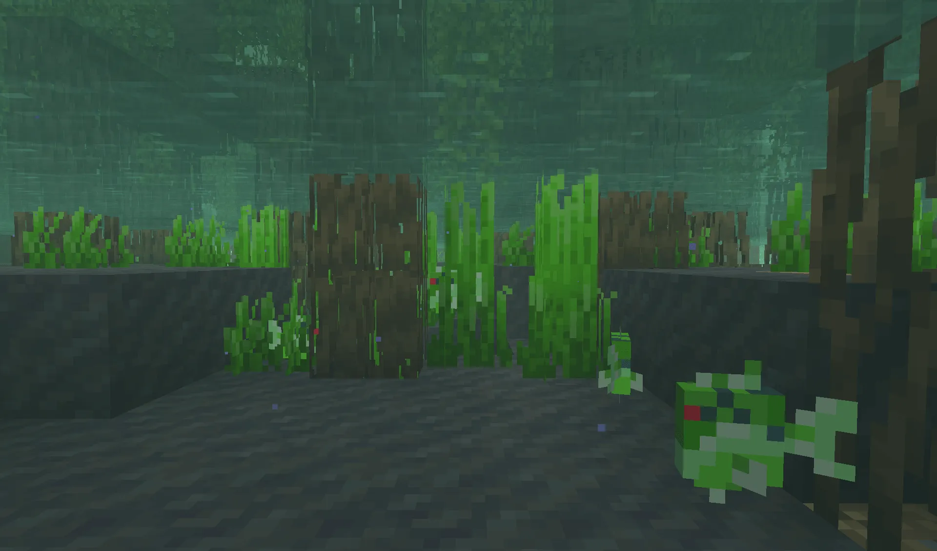 Withered Lands, Моды, Minecraft