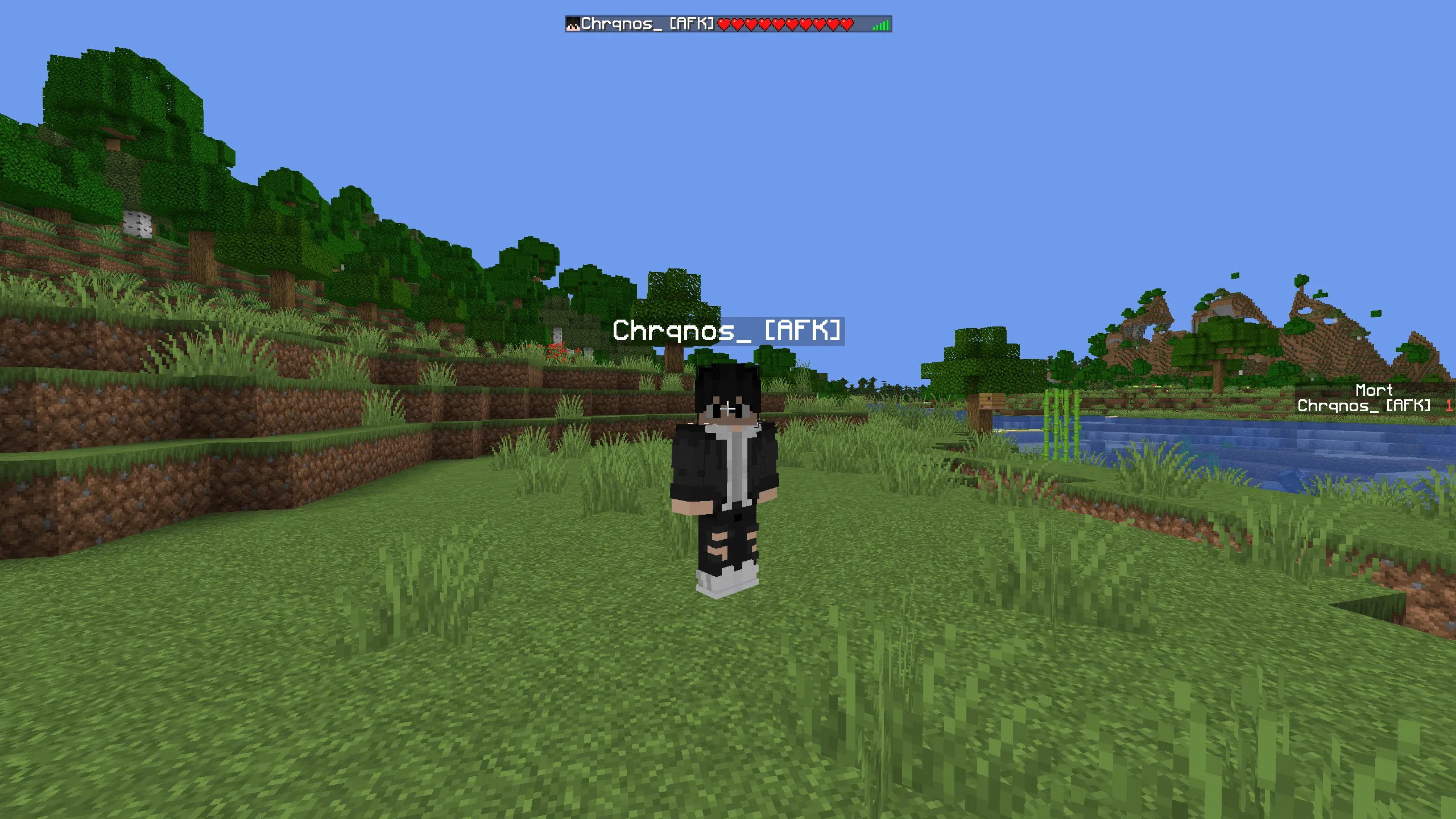 Afk Player — скриншот 2 (Текстуры, Minecraft)