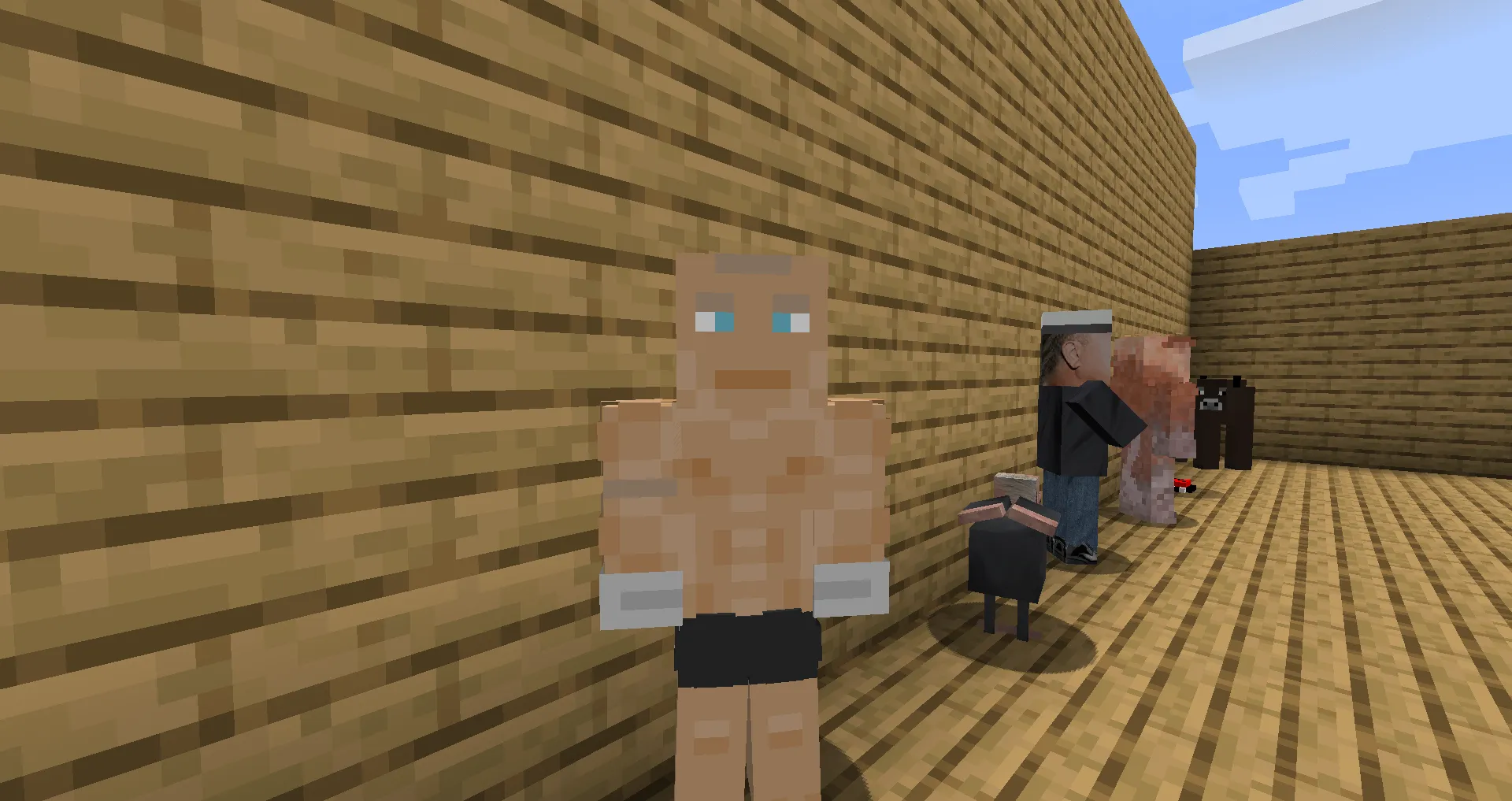PolandCraft, Моды, Minecraft