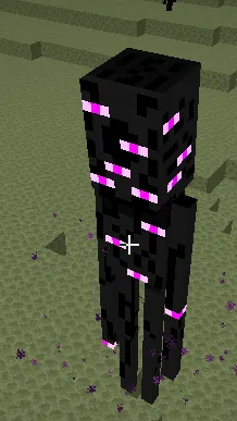 End Dimension Additions — скриншот 3 (Моды, Minecraft)