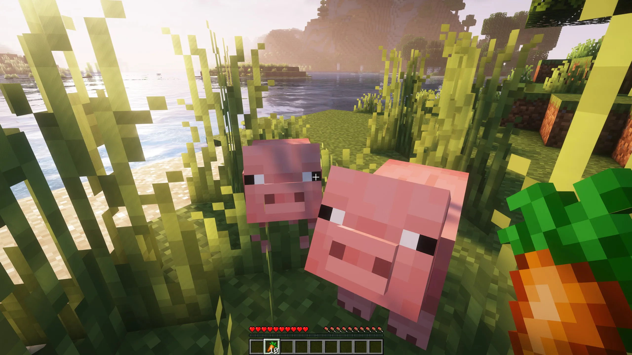 Longer Following Time — скриншот 7 (Моды, Minecraft)