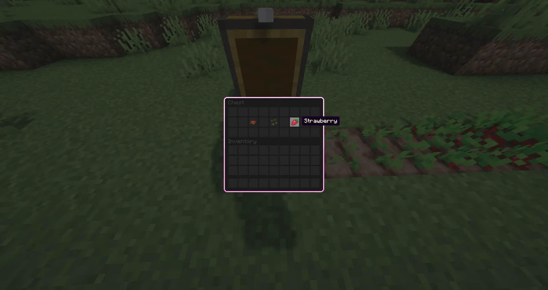 Strawberries!, Текстуры, Minecraft