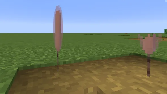 Dimensional Corn Dogs, Моды, Minecraft