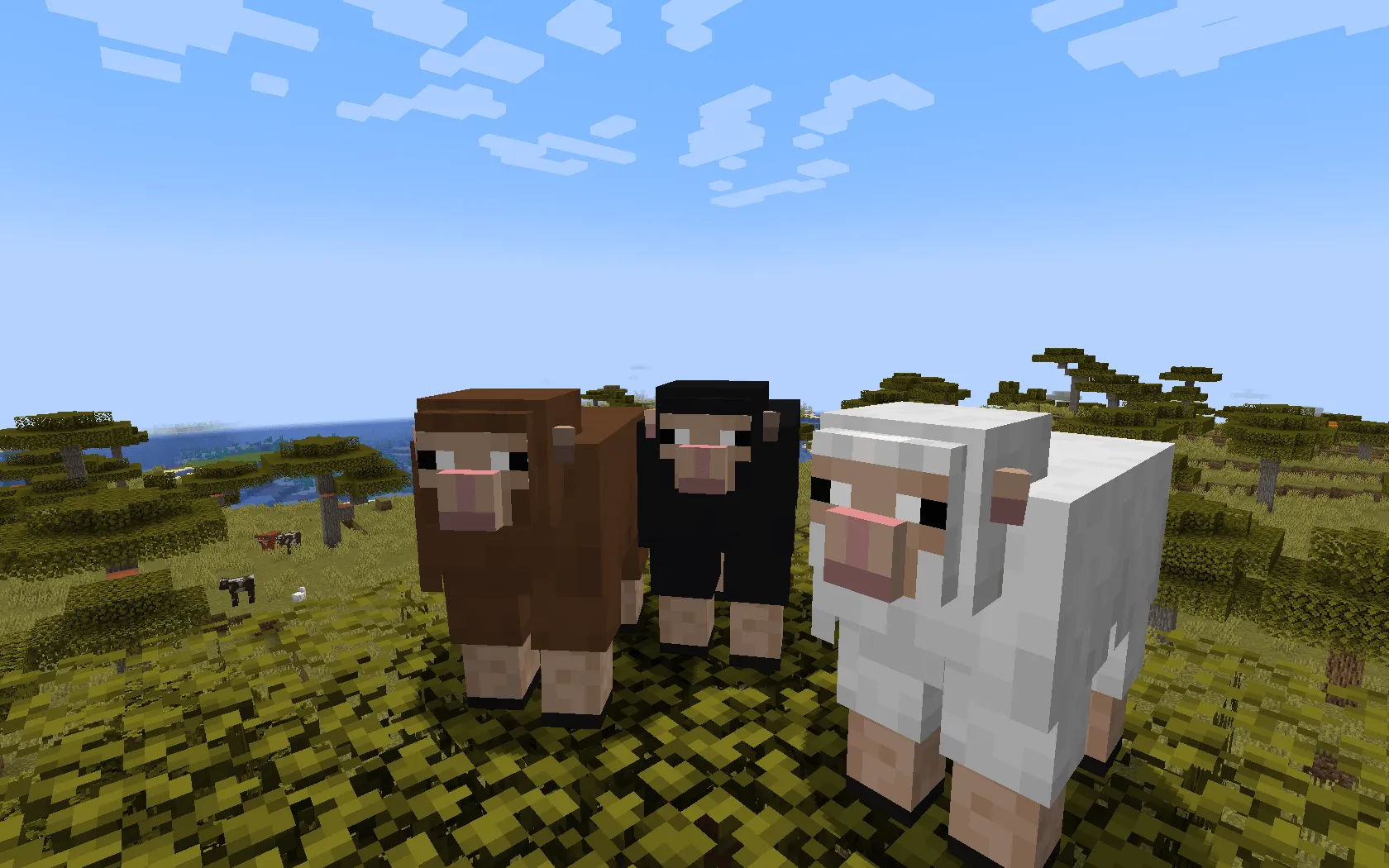 Kassy's Sheeps, Текстуры, Minecraft