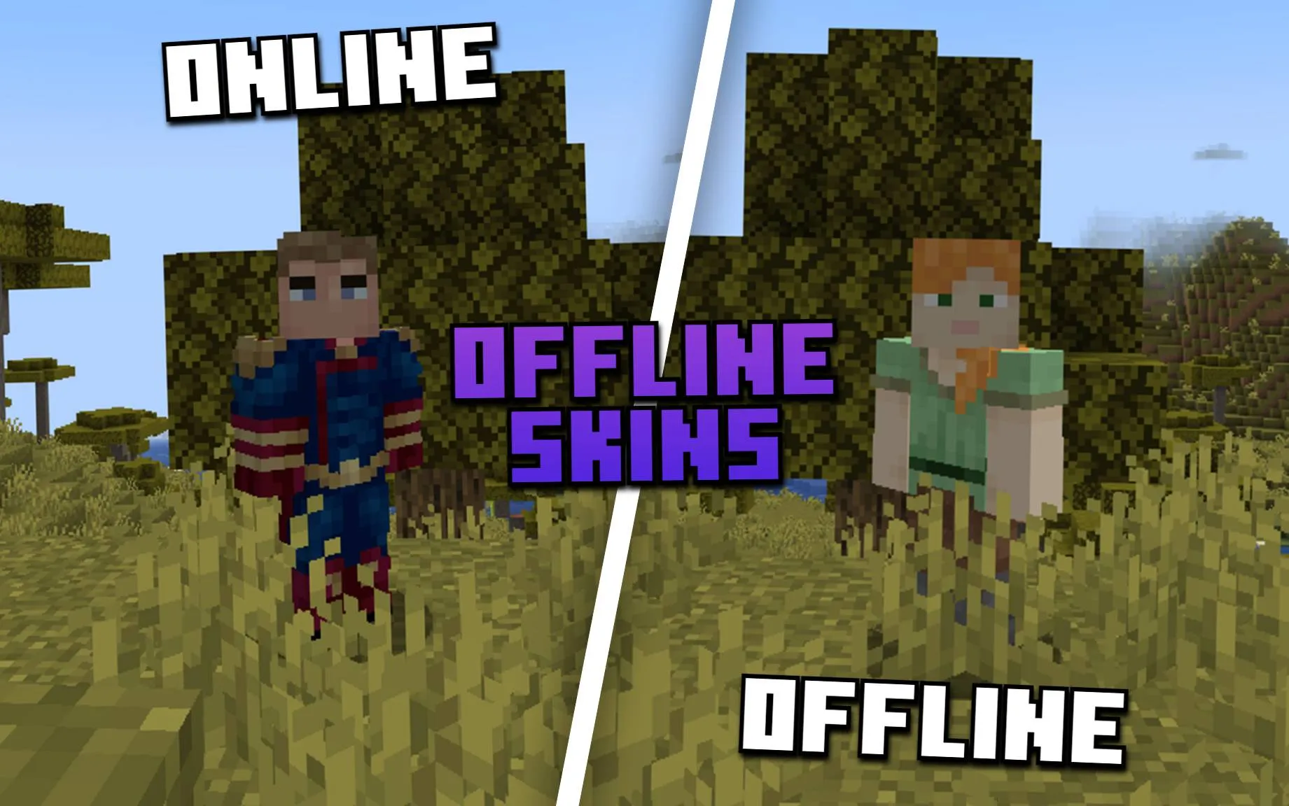 Offline Skins Be Gone! — скриншот 1 (Текстуры, Minecraft)