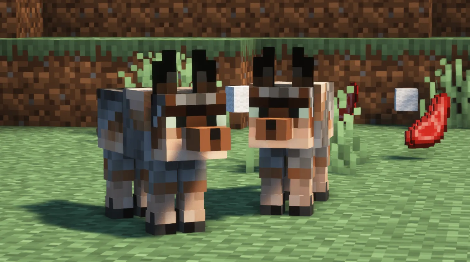 Conejorios, Моды, Minecraft