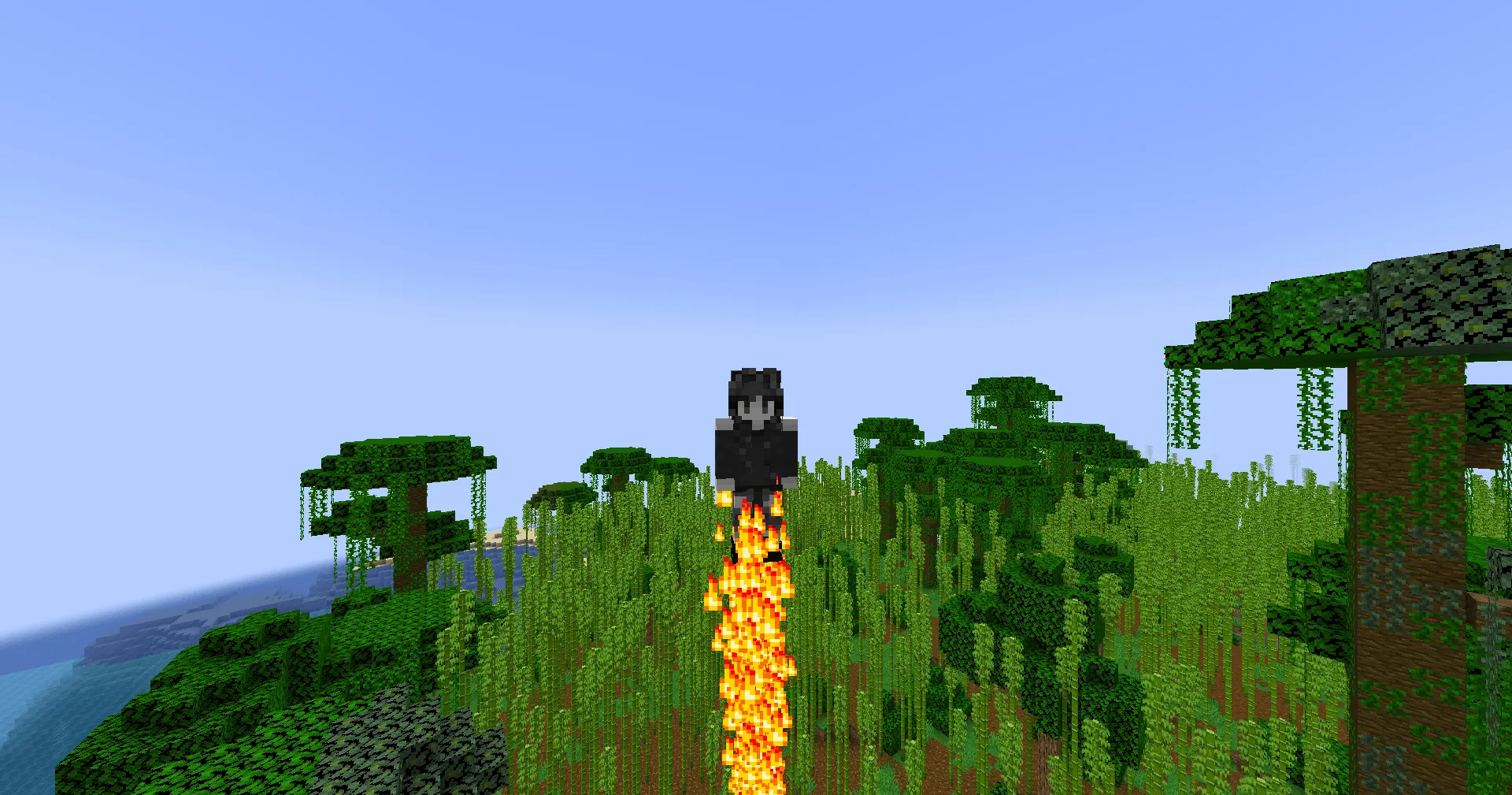 Ahinaa's Heroes, Моды, Minecraft