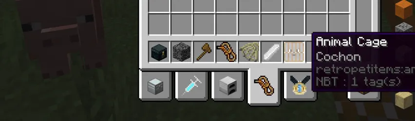 Retro Pet Items — скриншот 2 (Моды, Minecraft)