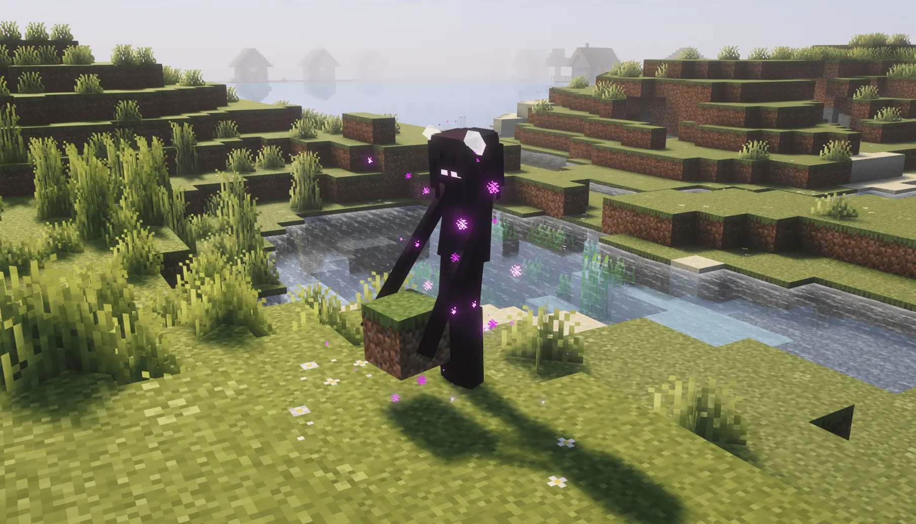 The Enderwoman — скриншот 2 (Моды, Minecraft)