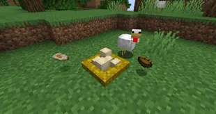 IIWAM - If I Worked At Mojang | Modpack — скриншот 15 (Модпаки, Minecraft)