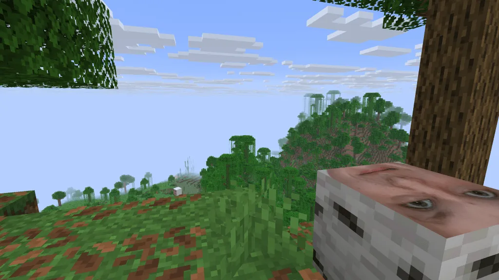 Roman, Текстуры, Minecraft
