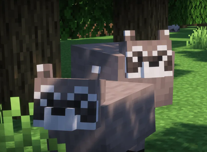 Raccoon — скриншот 2 (Моды, Minecraft)